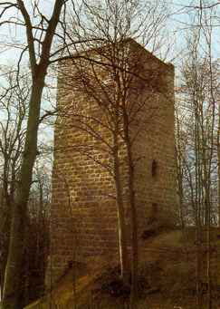 Kaltental-Aufkirch Ruine Helmishofen Bergfried