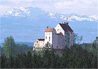Waldburg Burg Waldburg