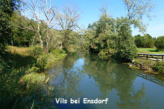 Vils-Naab bei Ensdorf