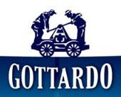 Faido Gottardo Logo