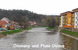 Oslavany Fluss Oslava